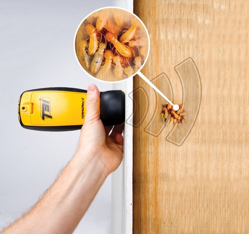 A comprehensive termite inspection on a home in Canberra