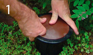 Residential Reports offering their comprehensive termite treatment service for a Canberra home