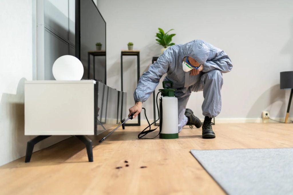 Why Professional Pest Control in Canberra Is Worth the Investment