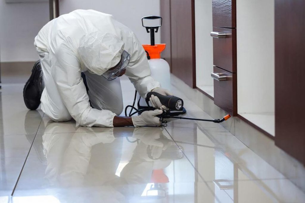 How Routine Pest Inspections Protect Your Property Investment